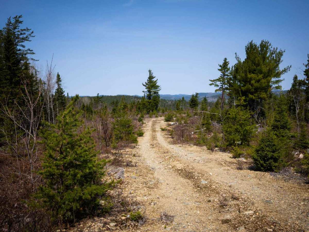 Bowser Trail trail photo