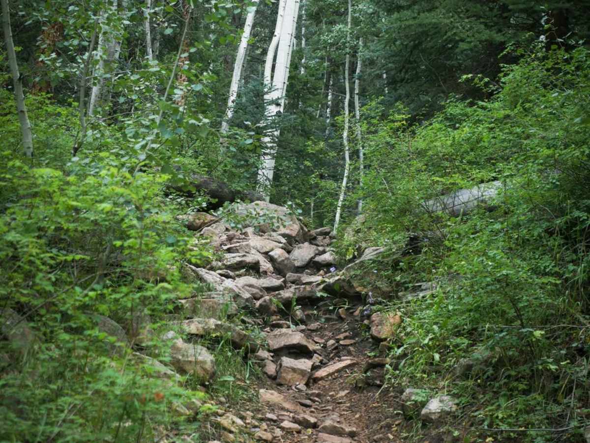 Chicken Creek Trail photo 3