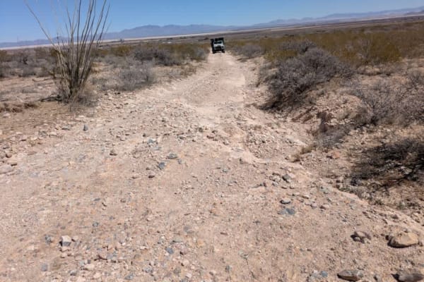 Butterfield Lane