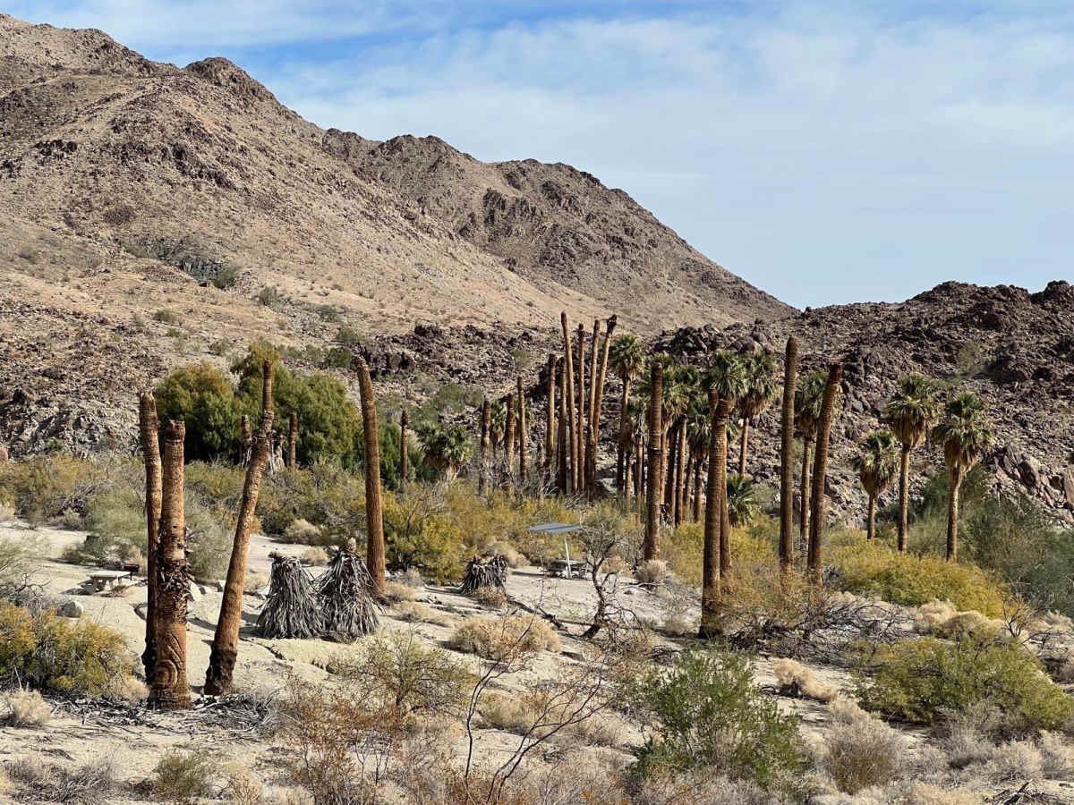 Corn Springs Trail photo 4