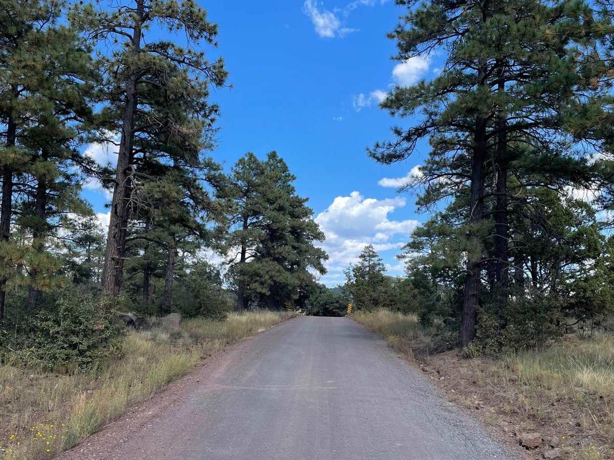 Stoneman Lake Access Road photo 3