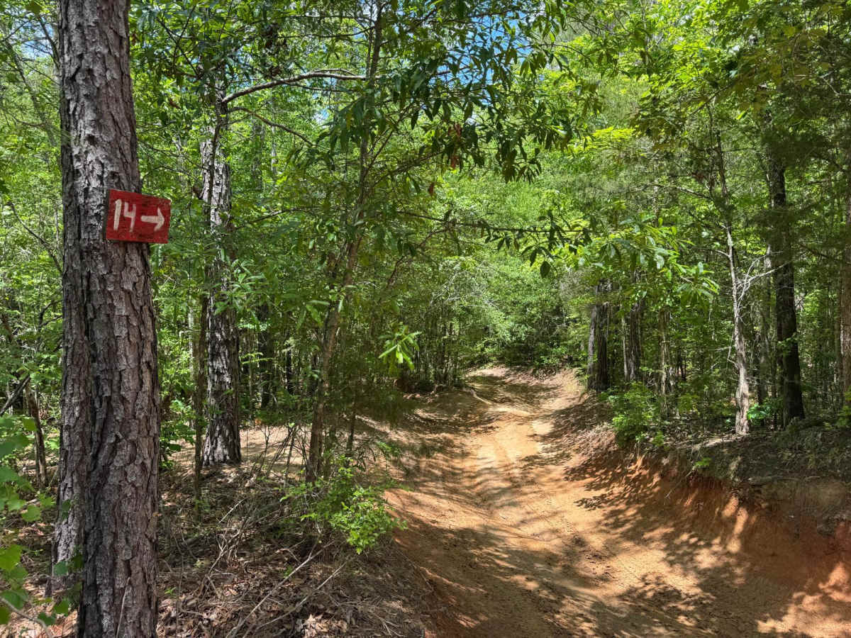 Trail 14 photo 6