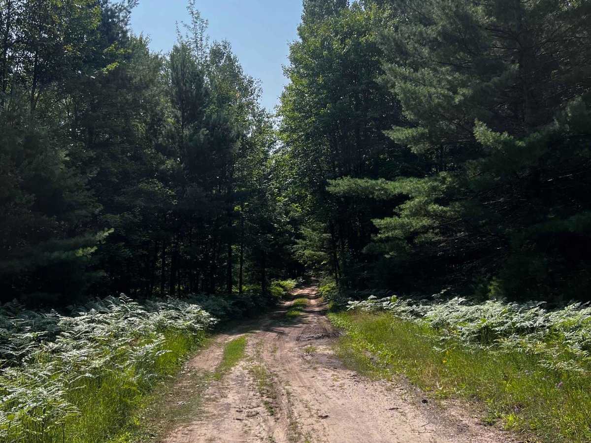 Blind Creek Trail photo 2