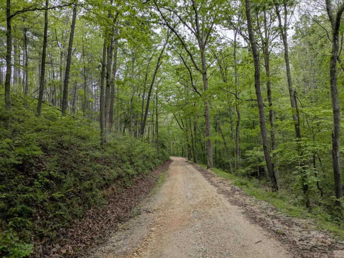 Tie Ridge Road photo 5