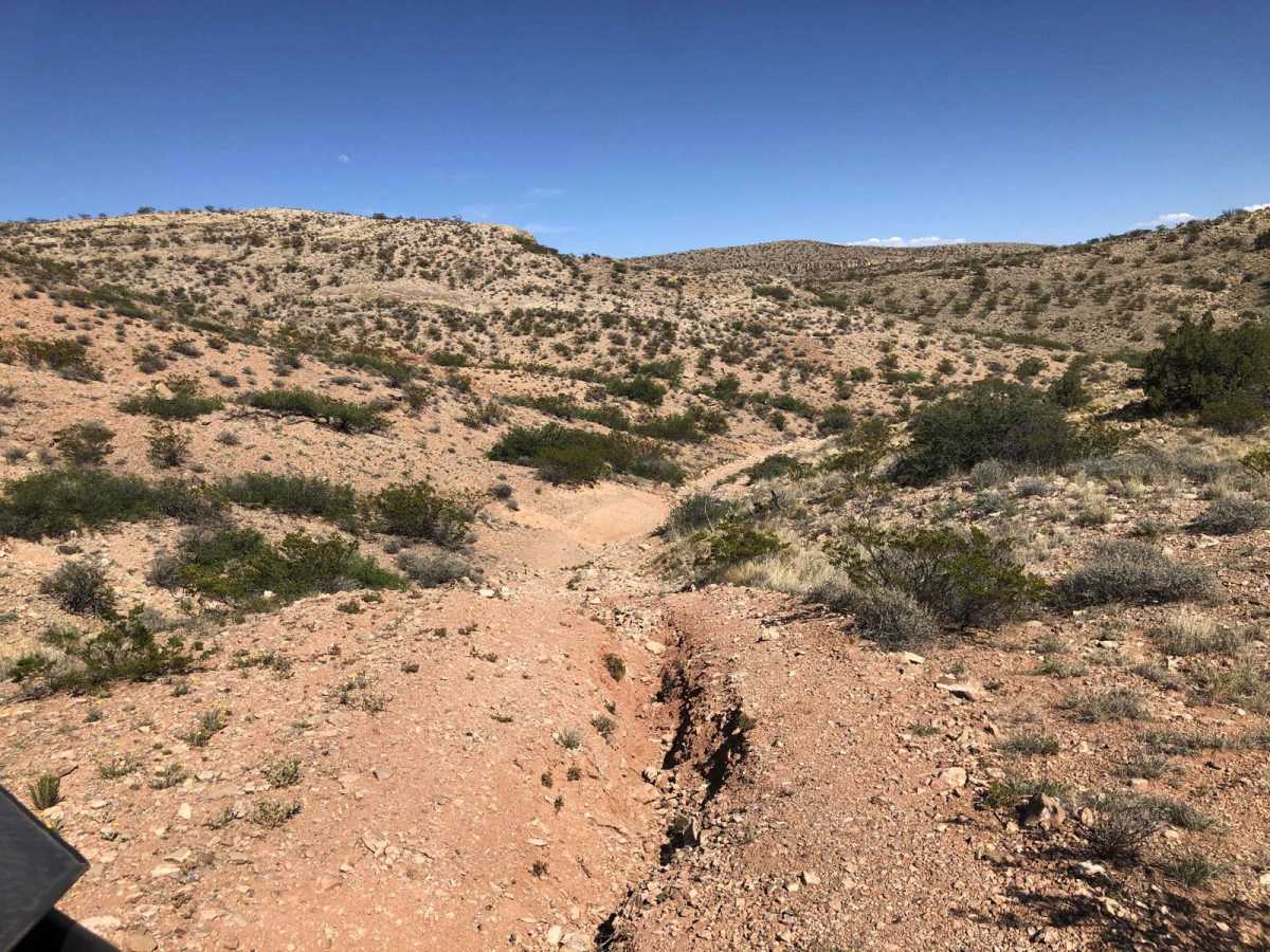 Coyote Exit photo 6