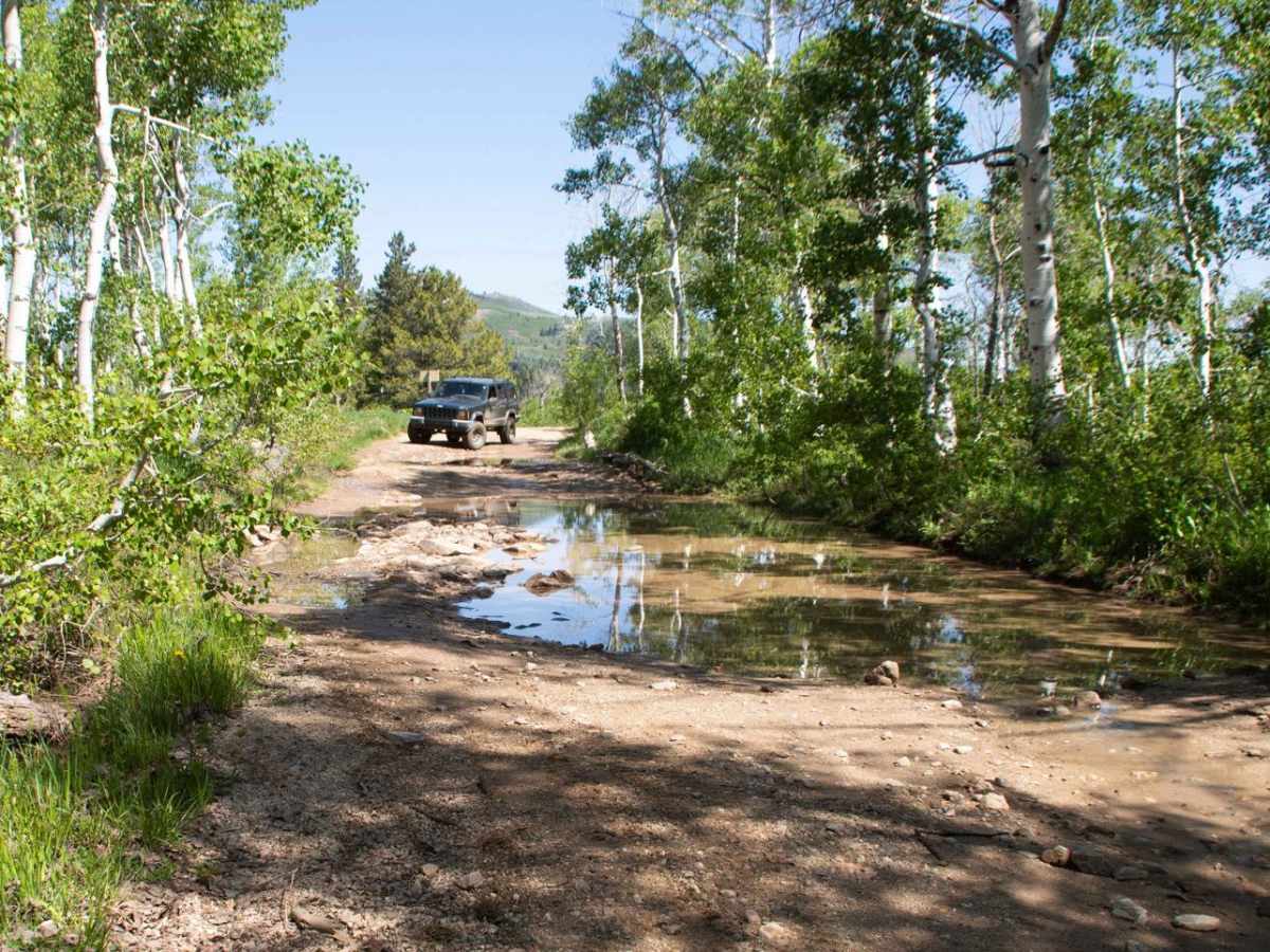 Farmington Flats trail photo