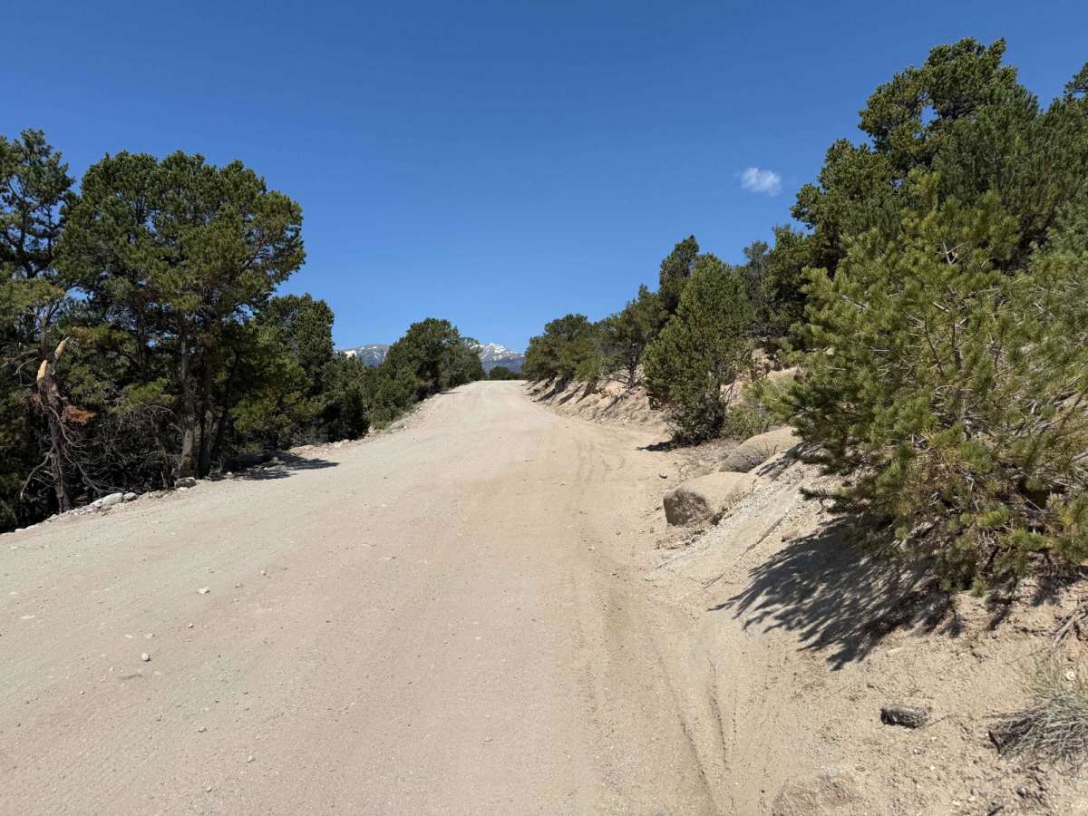 Fourmile Creek Road - 375 photo 3