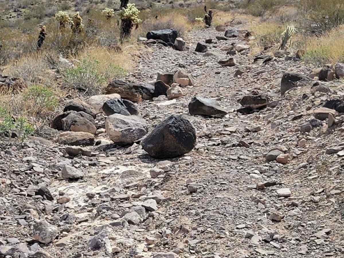 Lone Mine Trail photo 2