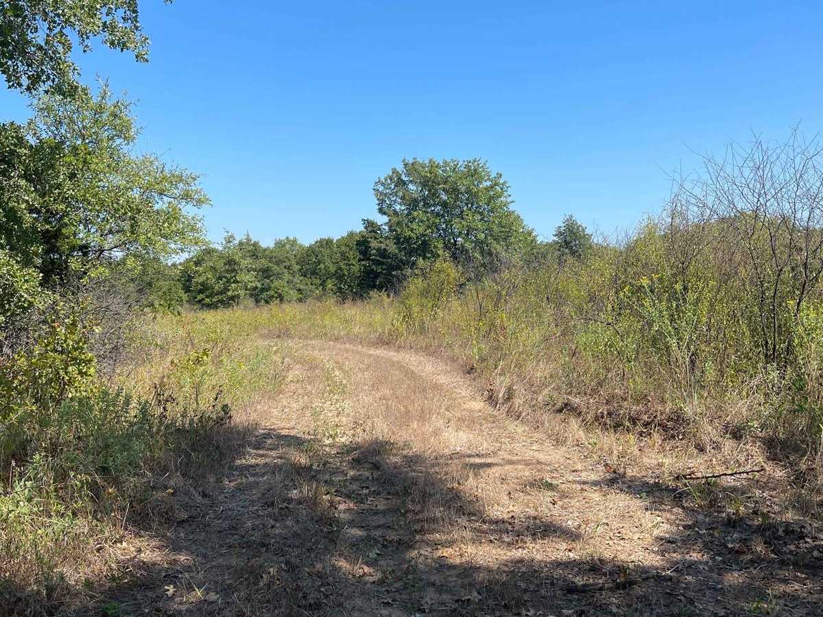 Miller Access Trail photo 2