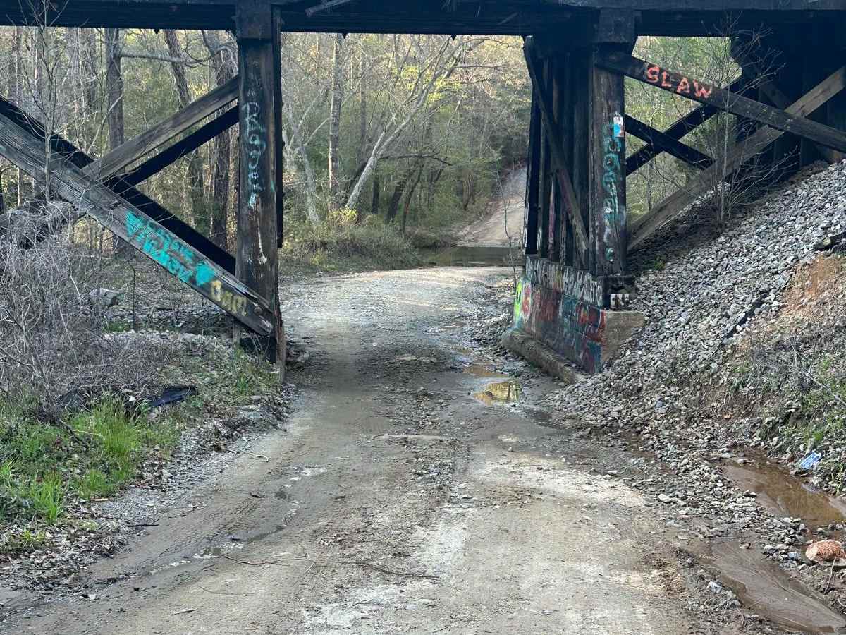 Little North Carolina Road photo 4
