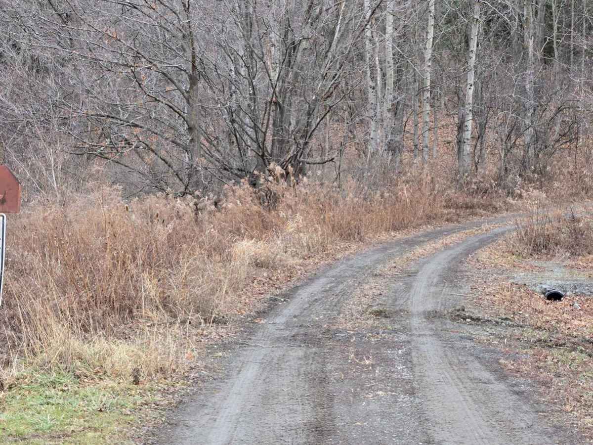 Bigelow Hill Road trail photo