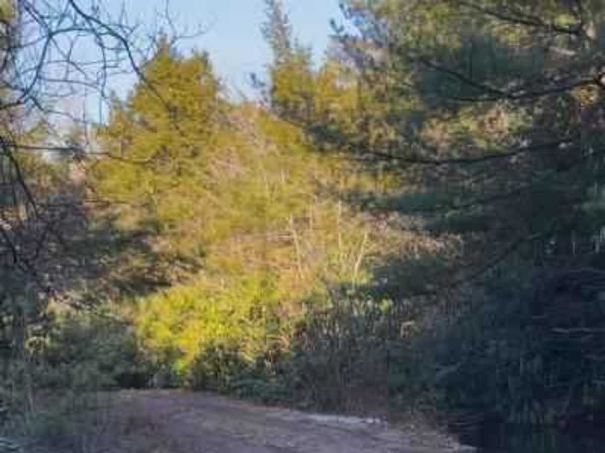 4th Run Trail photo 4