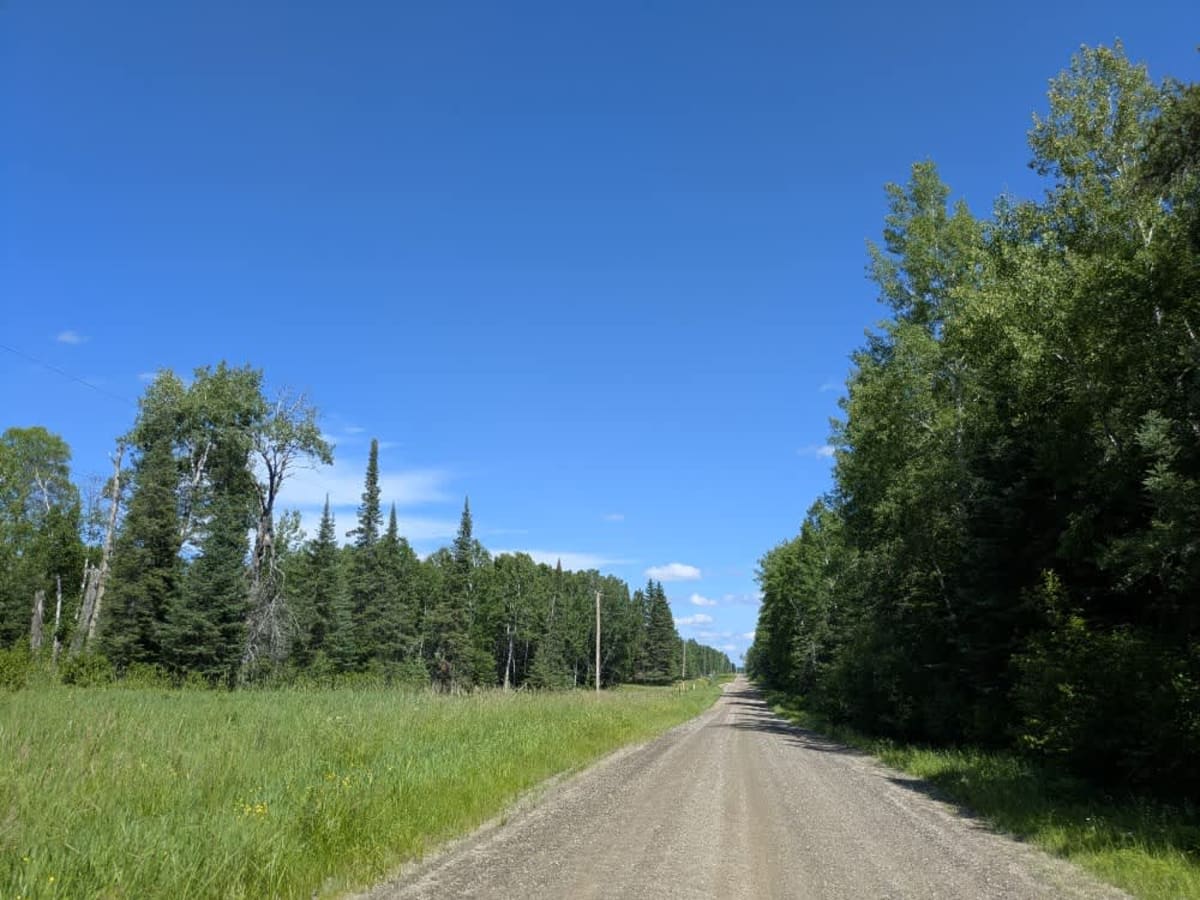 Goodell Road trail photo