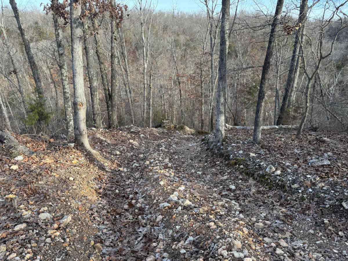 Yellow 359 trail photo