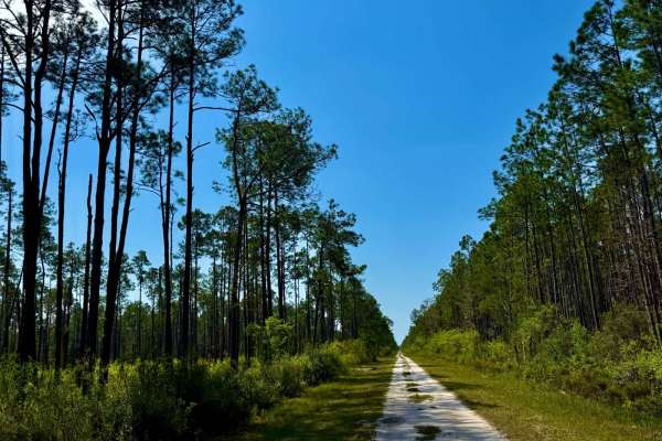 Oil Well Road - SFR 29