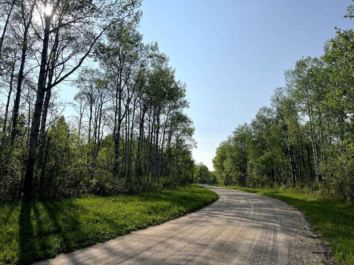 Lake Audy Road photo 5