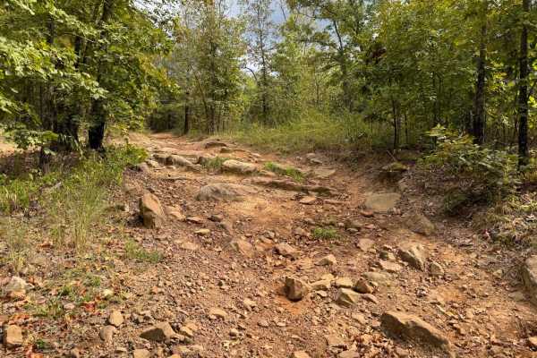 Buzzard's Rock (Huckleberry Pond) - Trail 96022B