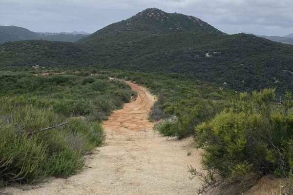 11S03 Lusardi Truck Trail