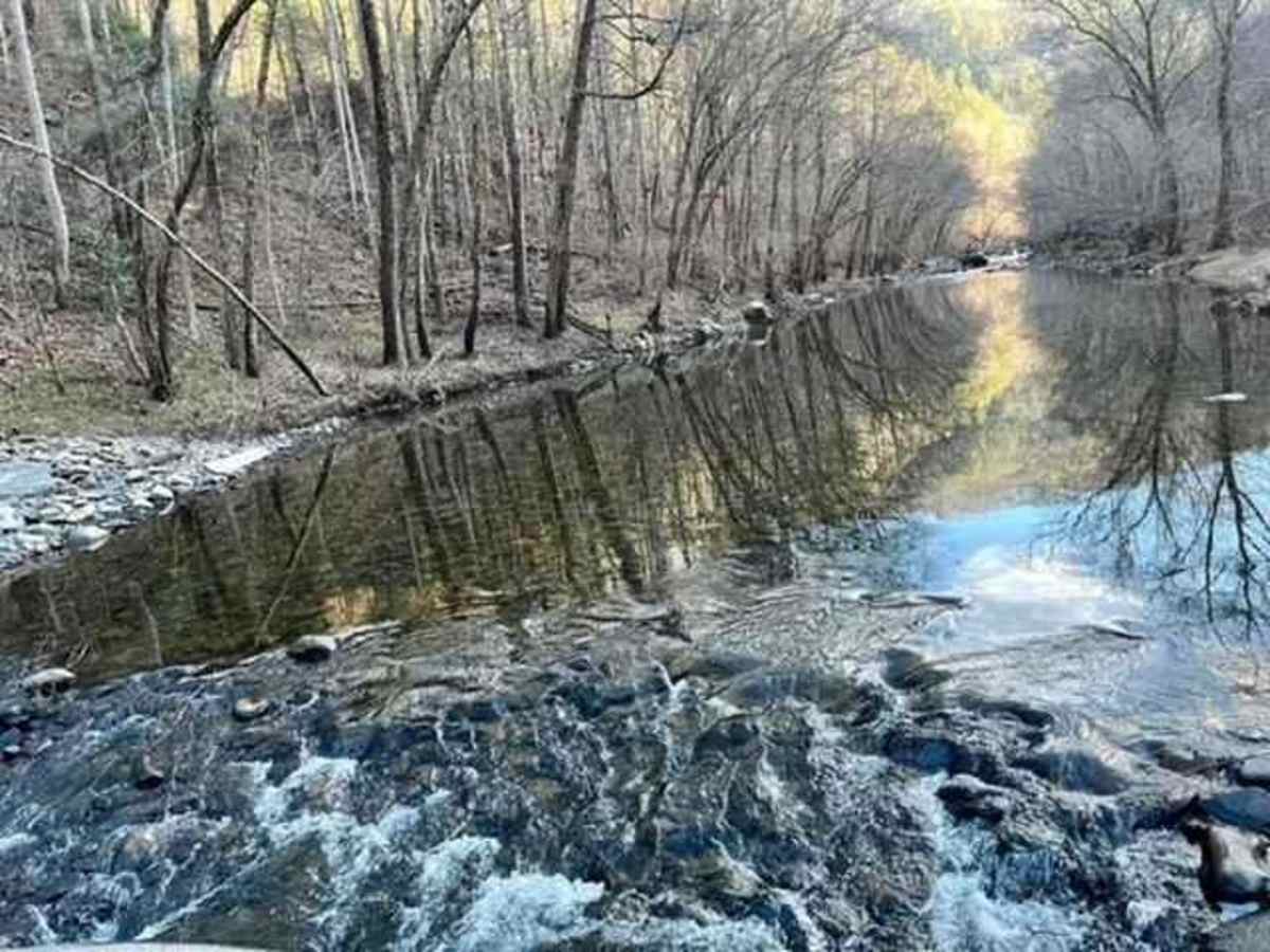 Hurricane Creek trail photo