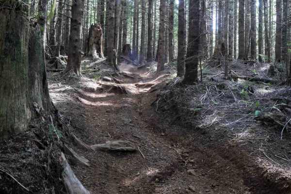 Hunt Loop