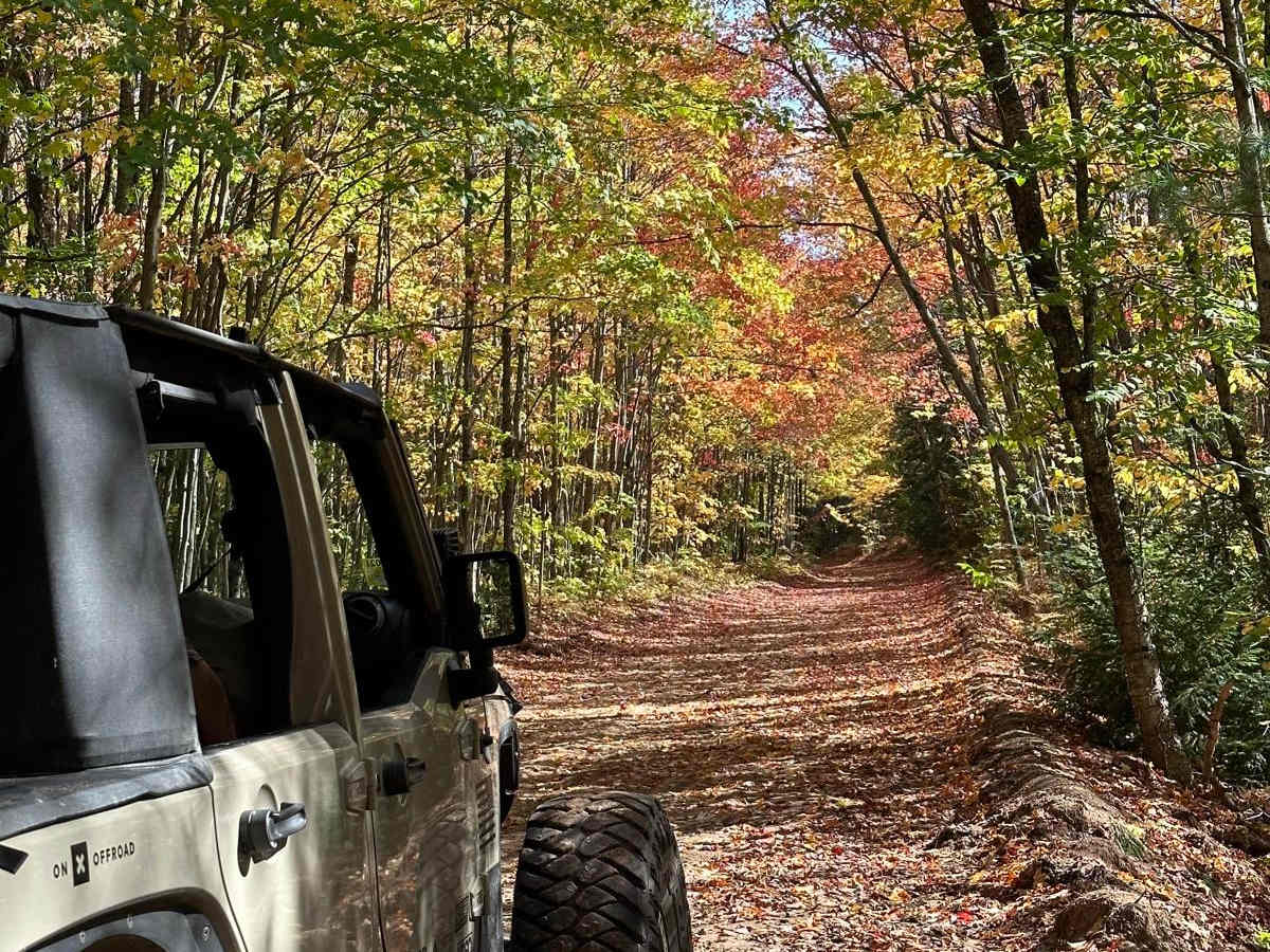 FS 3177 Part 2 trail photo