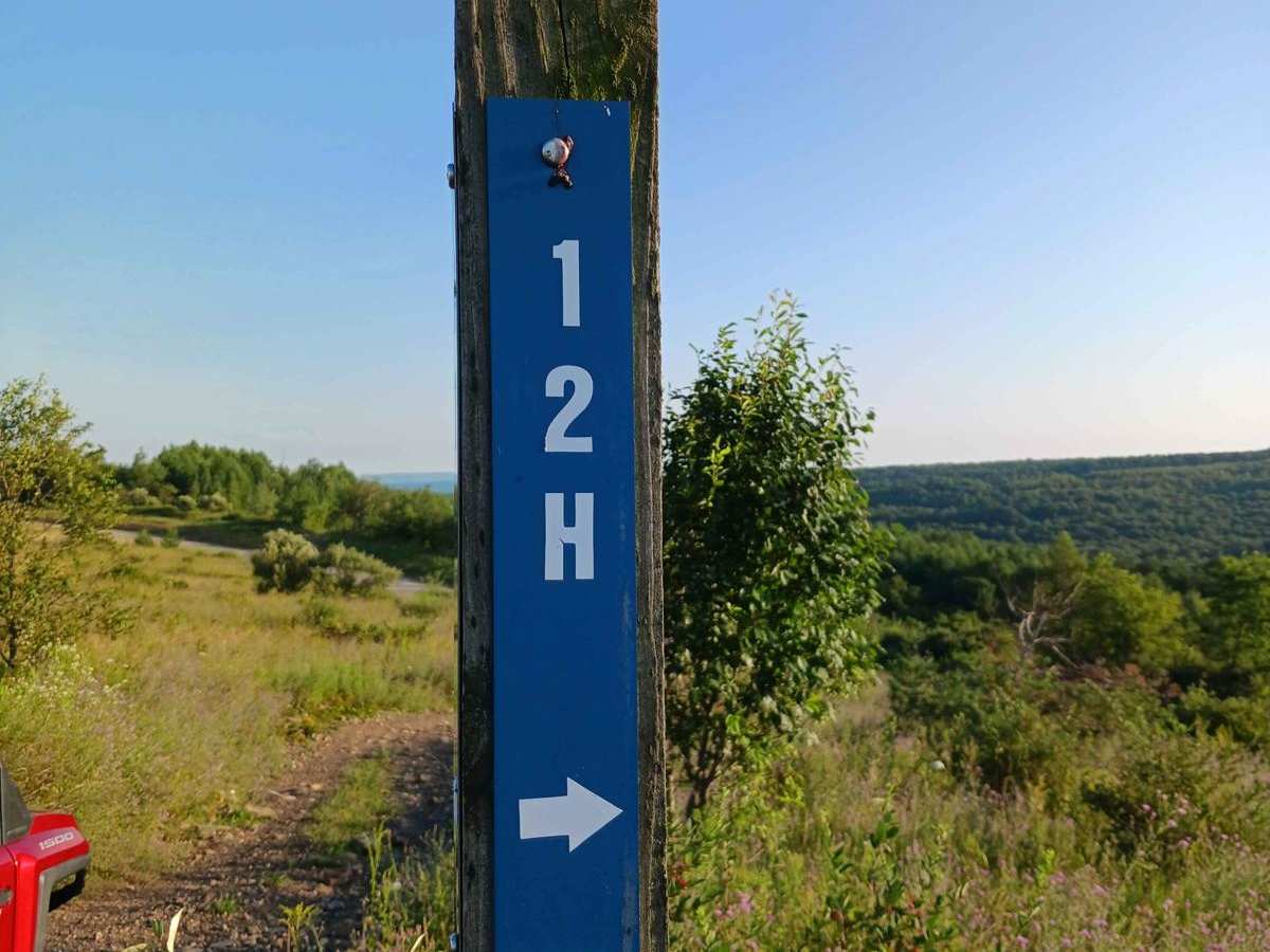Trail 12H - Rock Run Recreation Area trail photo