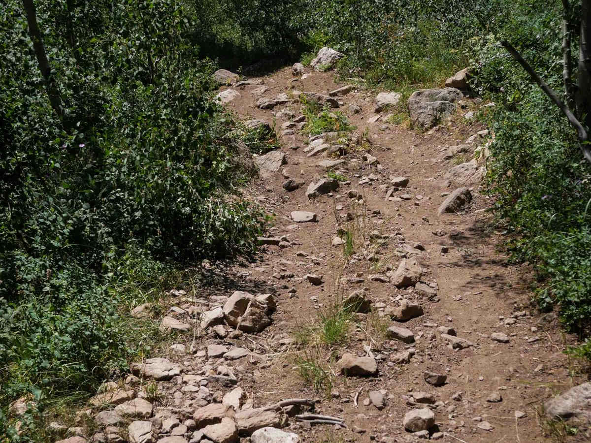 Dry Fork #3329  photo 4