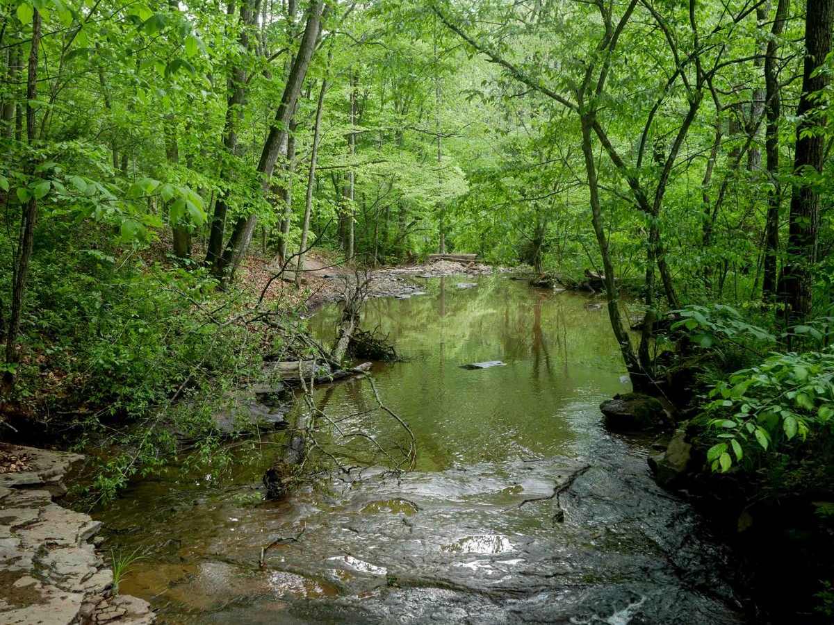 Trail 18 photo 3