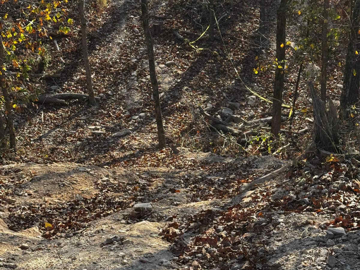 Explorer Hill photo 4