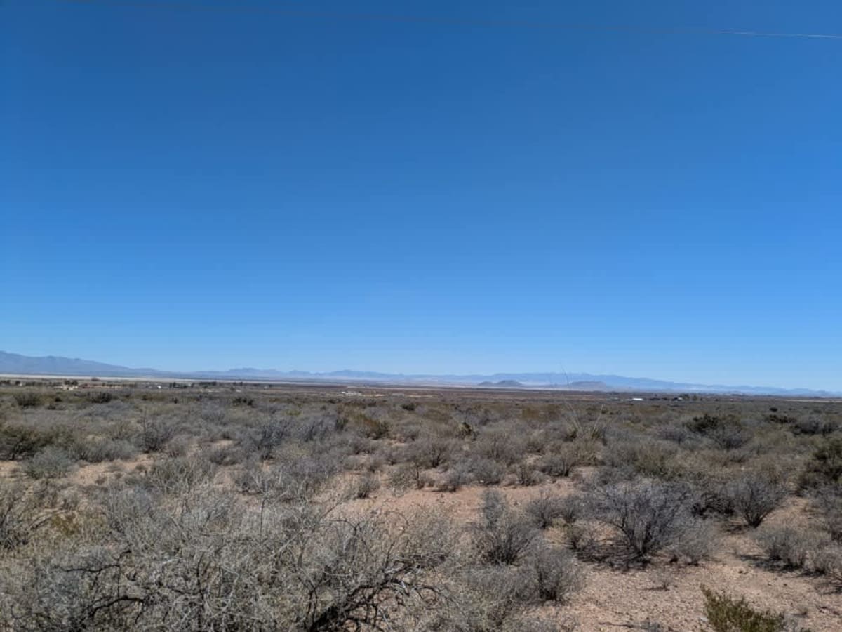North Wilcox Road photo 5