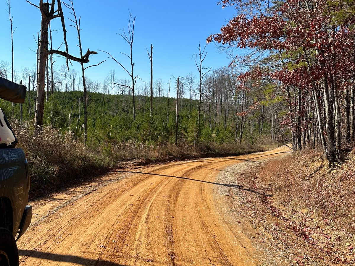 Mount Olive trail photo