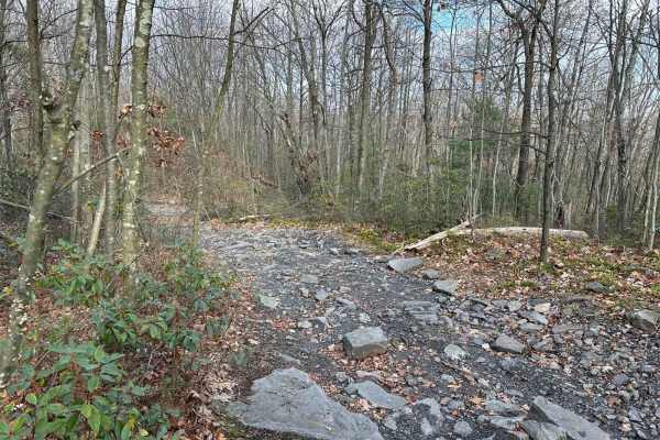 ATV Trail 2