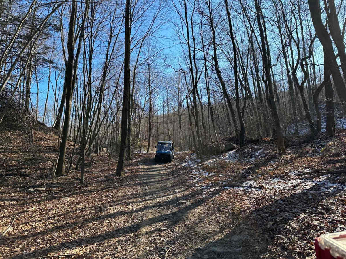 Locust Gap 20 photo 3