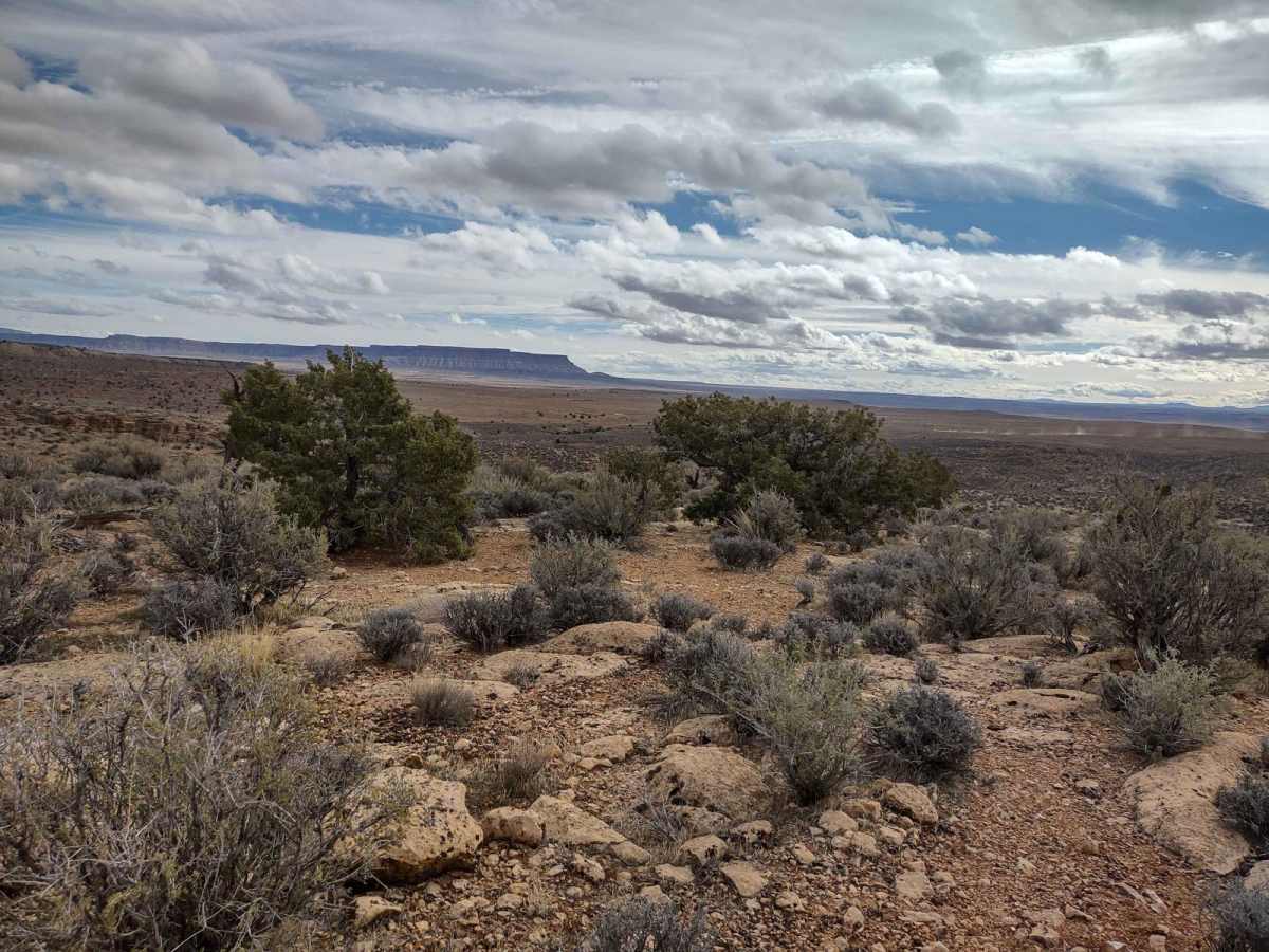 Yucca Way Spur photo 5