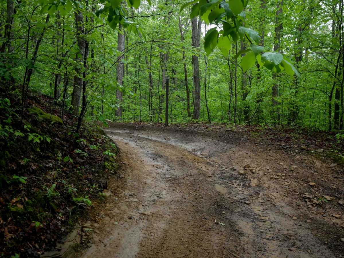 IB 51 trail photo