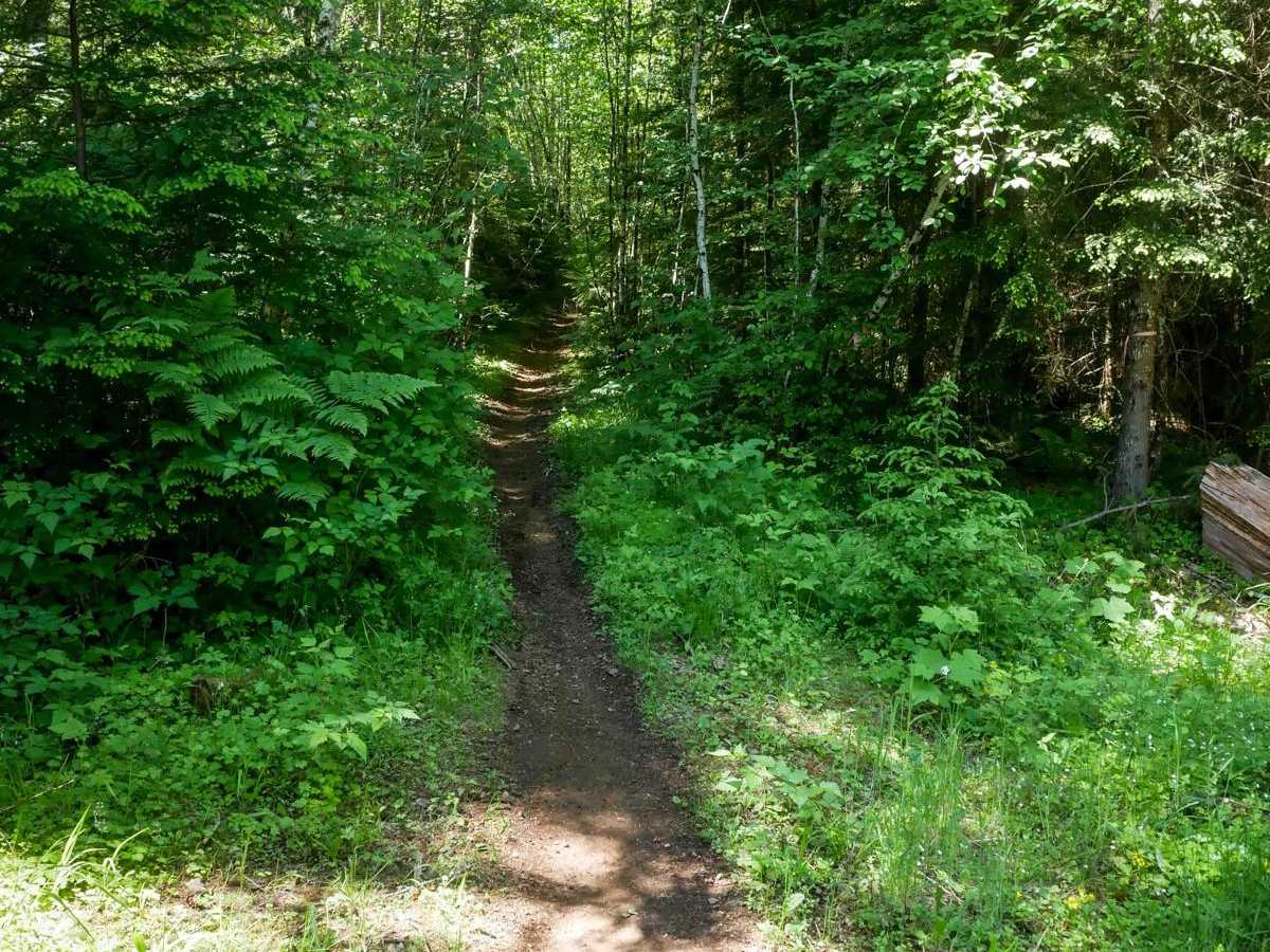 Chainbreaker #33 trail photo