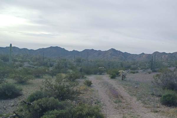 Hidden Camp