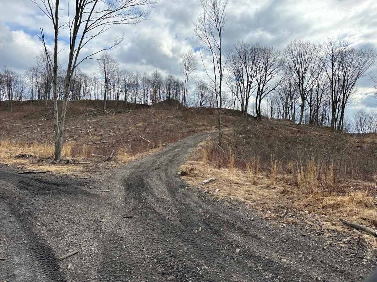 Ashland 62 photo 2