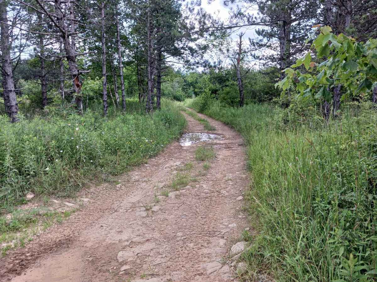Trail 10G - Rock Run Recreation Area photo 2