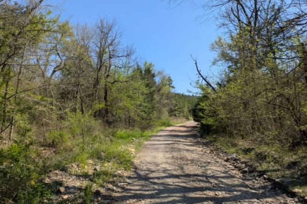 Ouachita National Forest Access Road
