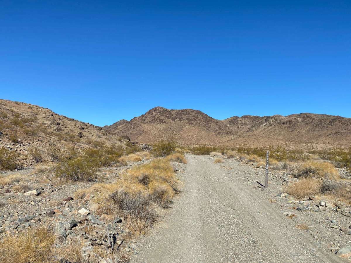Zzyzx Road - CL8847 photo 3