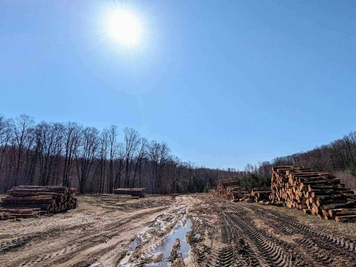 Harmon Road photo 5