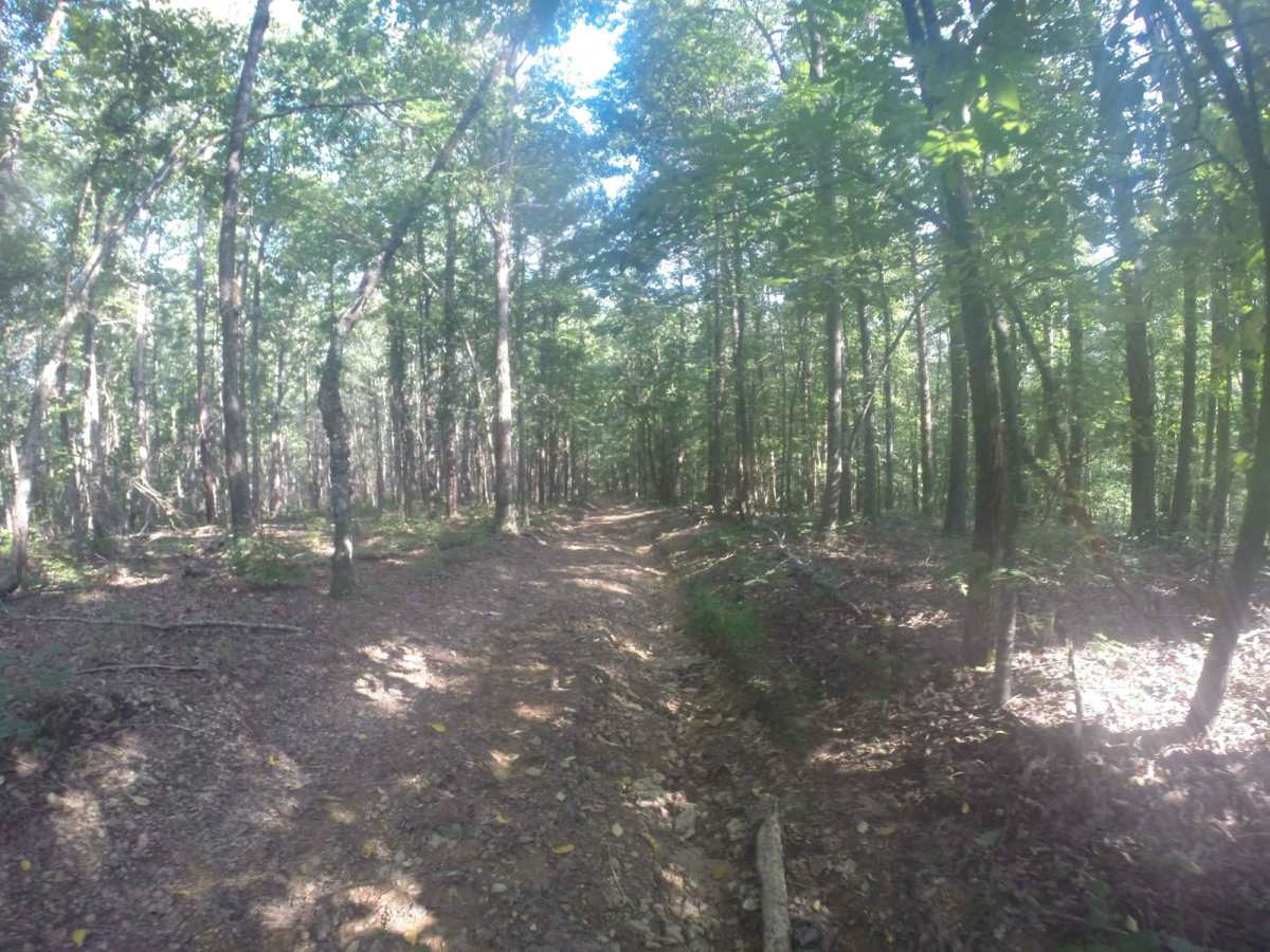 Manning Mill Spur - Forest Road 227A photo 5