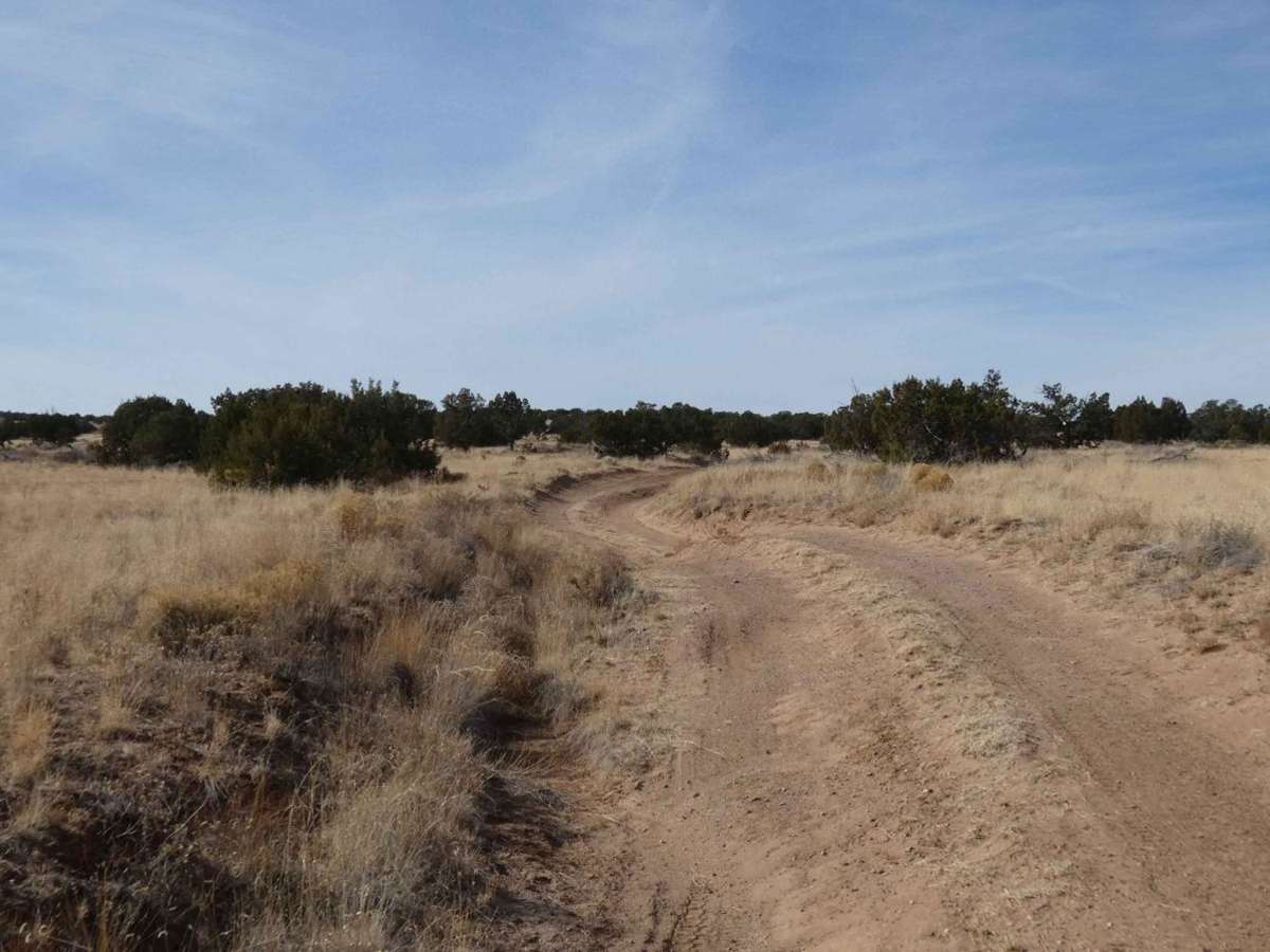 Gallinas Canyon photo 5