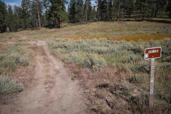 Skimmer Trail