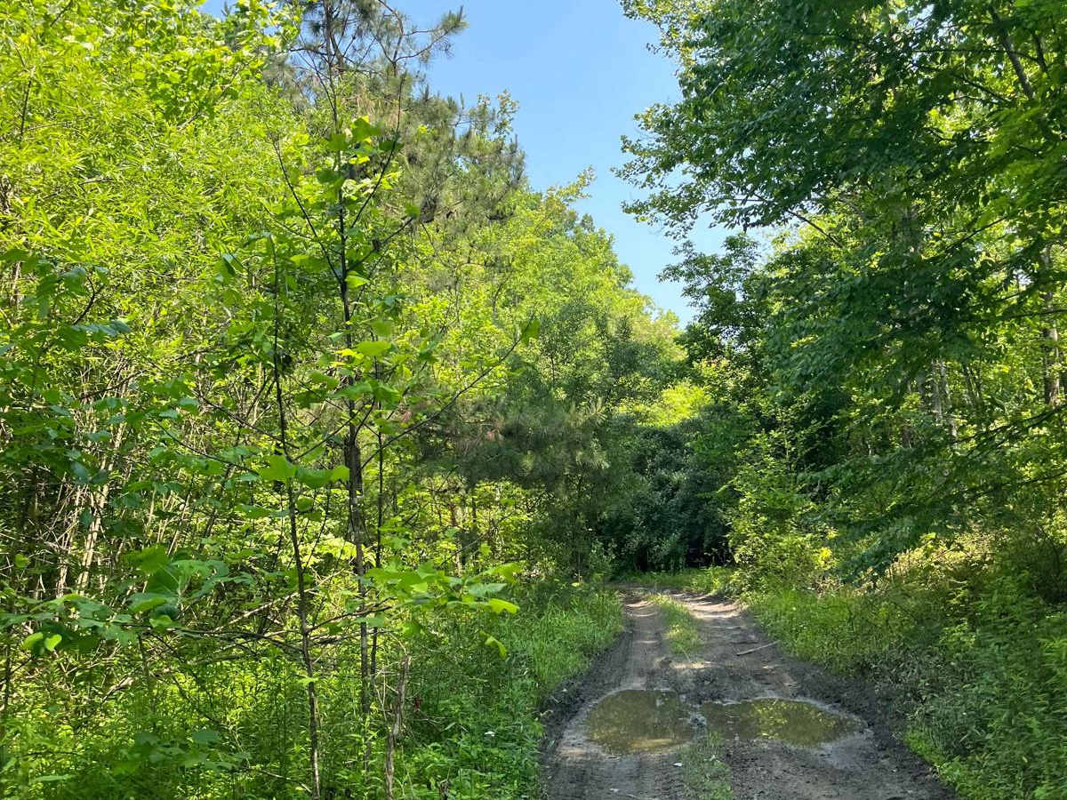 Trail 8 photo 2