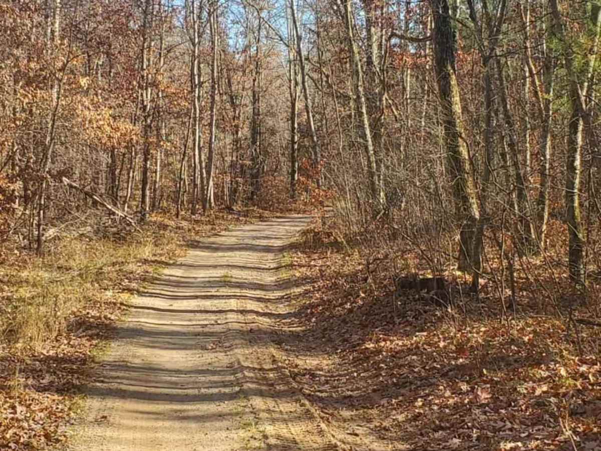 Trail 5578 photo 2