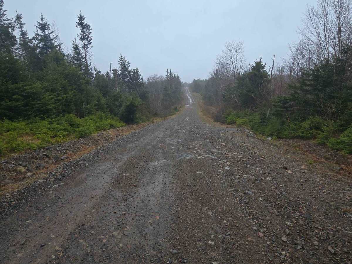Paterson dam trail photo 6