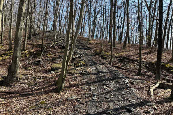 Darkwater Single Track 15