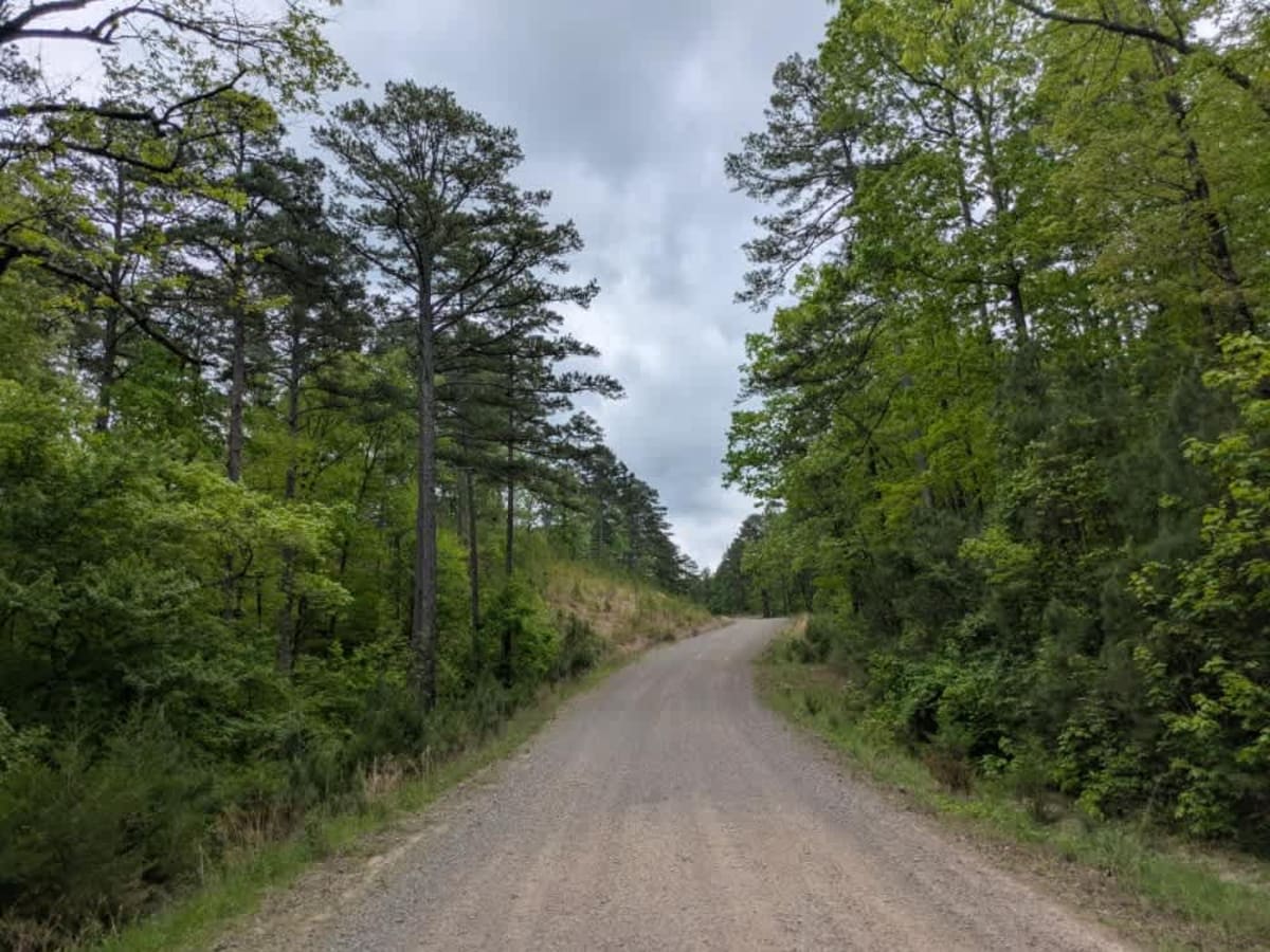 Spring Lake Road photo 6